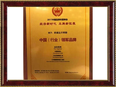 中國行業(yè)領軍品牌