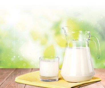 2022年世界牛奶日·全國(guó)乳品營(yíng)養(yǎng)周專稿——探尋牛奶的世界